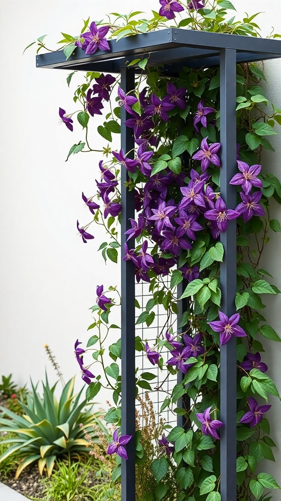 A modern metal trellis adorned with purple clematis flowers.